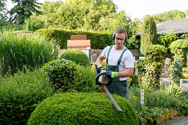 Best Lawn Mowing  in Dunlap, IN